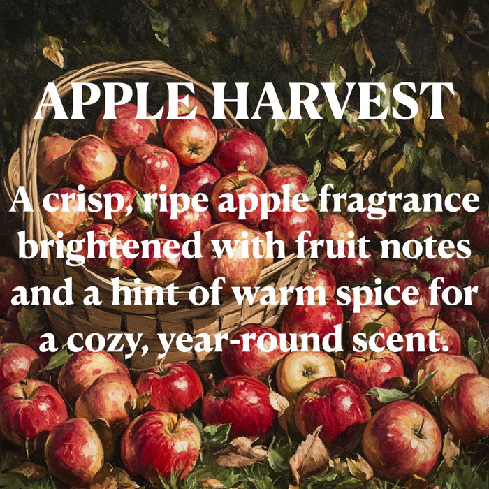 Apple Harvest 13 oz. Candle by OhBuddy