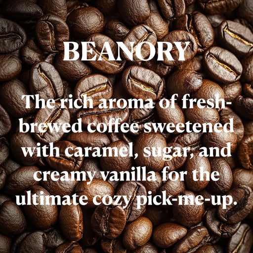 Coffee beans with 'Beanory' text describing coffee flavor profile
