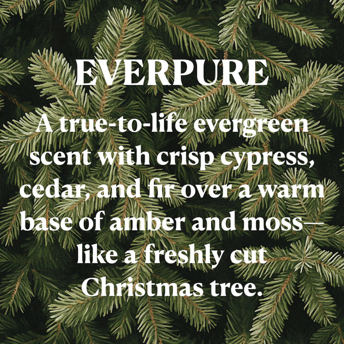 Everpure 13 oz. Candle by OhBuddy