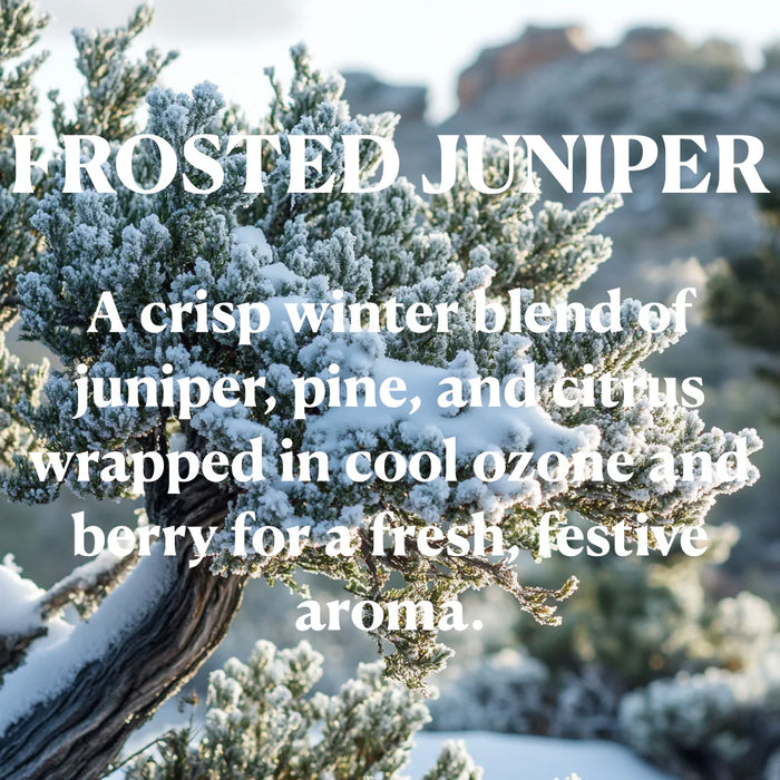 Frosted Juniper 13 oz. Candle by OhBuddy