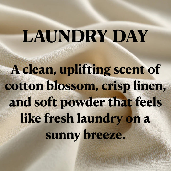 Laundry Day Wax Melt by OhBuddy
