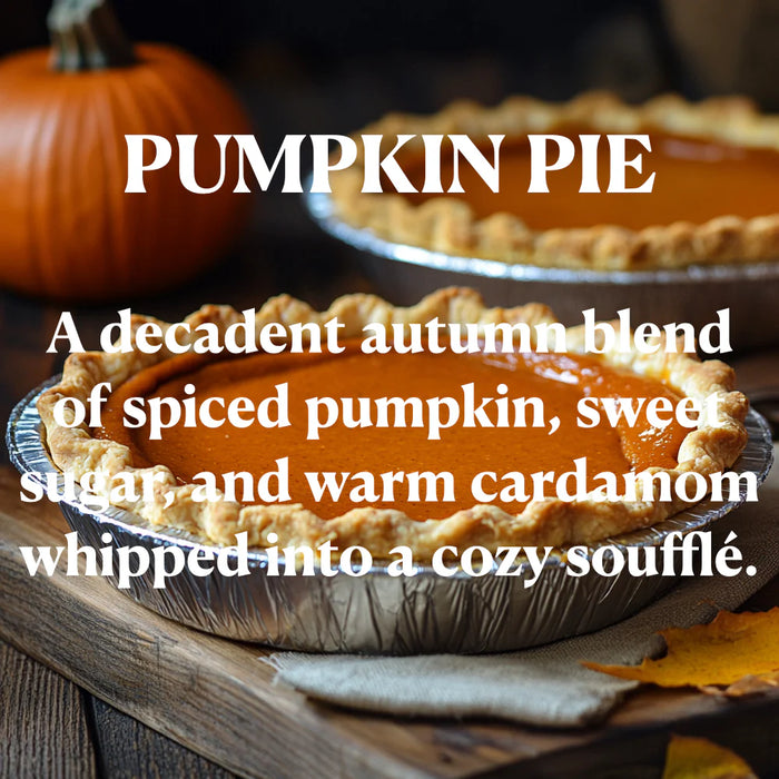 Pumpkin Pie Wax Melt by OhBuddy