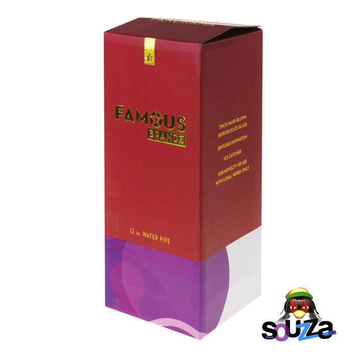 Famous Design Panorama Straight Water Pipe | 12" | 14mm Female box and packaging